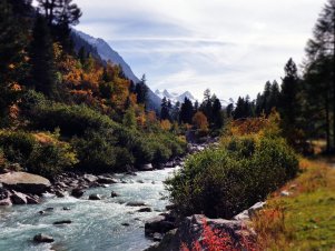 Herbst-Bach-engadin-1000--750-px.jpg