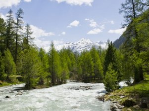 val-bever-wanderung_2.jpg